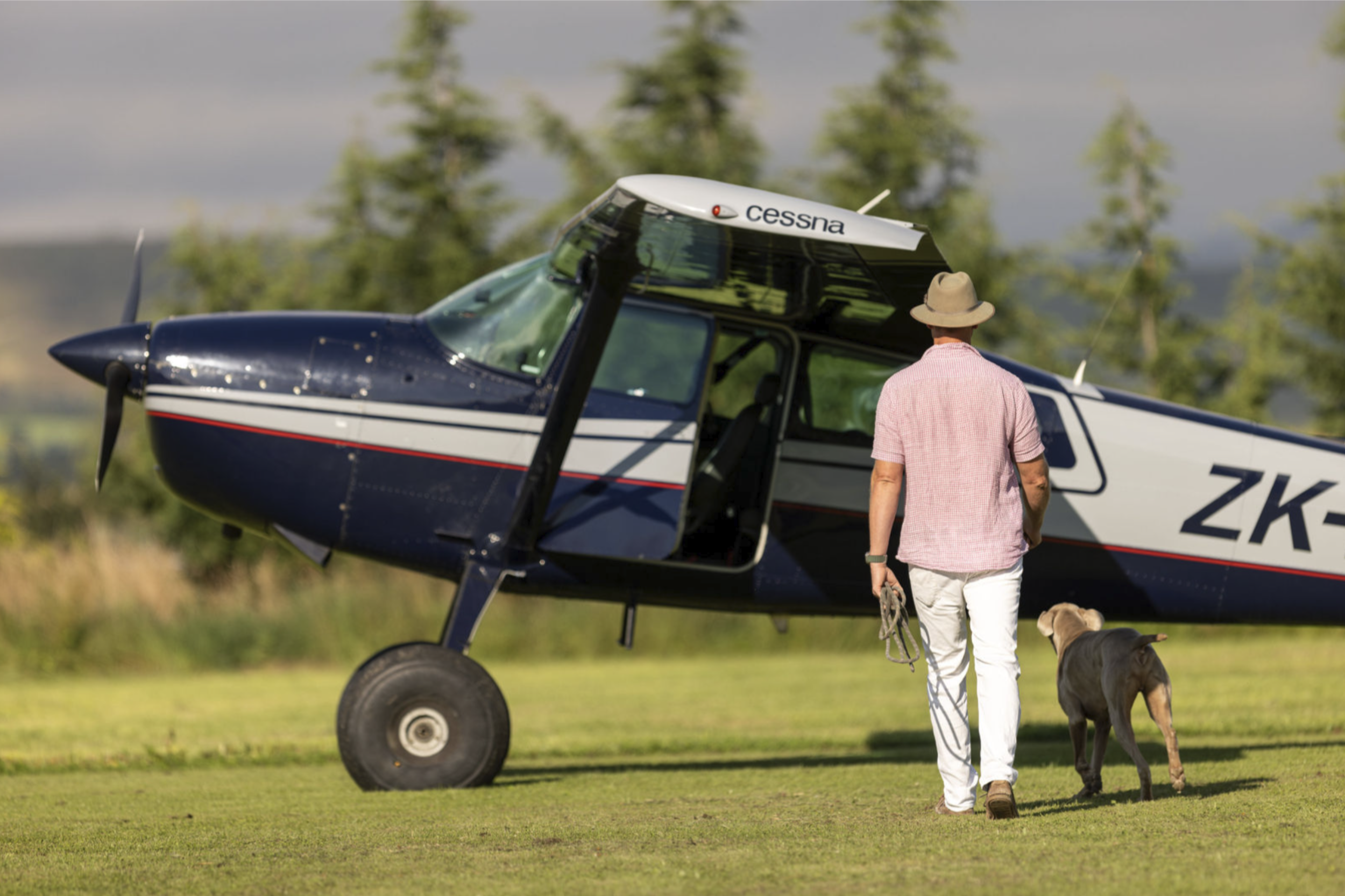 A man with a dog walking toward a small blue and white airplane parked on a grassy field